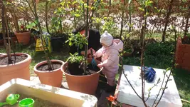 20170408_124009.2.webp