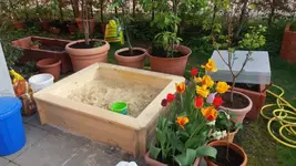 20170424_190617.2.webp