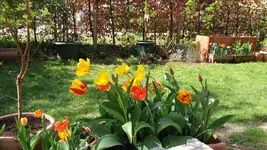20170410_152218.2.webp