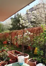 20170410_151431.2.webp