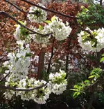 20170410_152233.2.webp