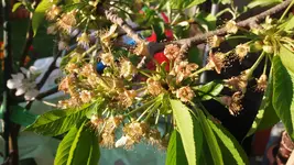 20170421_182714.2.webp