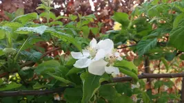 20170421_182655.2.webp