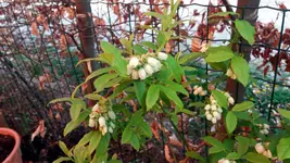 20170421_182816.2.webp