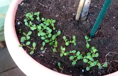 20170421_183012.2.webp