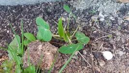 20170421_183035.2.webp