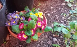 20170421_182934.2.webp