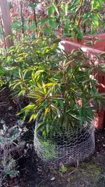20170424_190734.2.webp