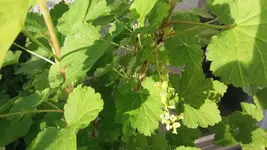 20170424_190644.2.webp