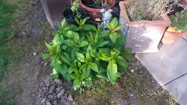 20170424_190835.2.webp
