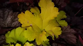 20170425_191247.webp