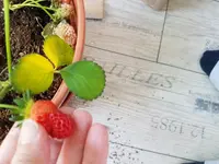 20170425_193542.webp