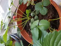 20170425_193525.webp