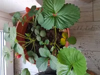 20170425_193517.webp