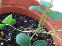20170425_194755.webp