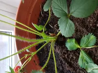 20170425_194721.webp