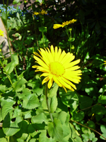 P1130584.webp