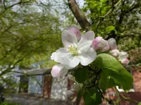 P1050025.webp