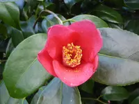 P1050045.webp