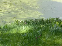 P1050054.webp