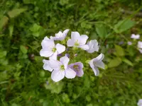 P1050080.webp