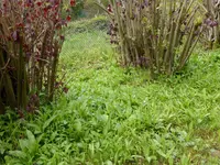 P1050150.webp