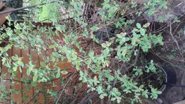 20170425_170110.webp 20170425_170110.webp