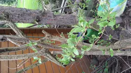 20170425_170133.webp