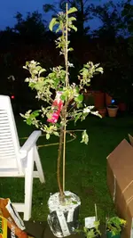 20170426_203529.2.webp
