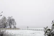 DSCN0333.jpg