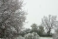 DSCN0334.webp
