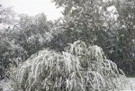 DSCN0335.jpg
