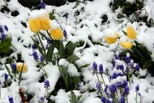 DSCN0367.webp