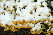 DSCN0373.webp