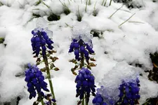 DSCN0379.jpg