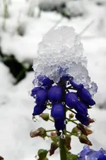 DSCN0382.webp