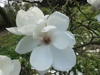 Bilda043.webp