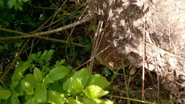 WP_20170427_001[1].webp