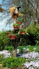 20170428_132220.webp