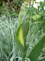 P1000580.webp