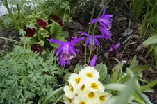 _DSC1482.webp