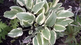20170429_180934.webp