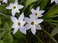 DSCN0235.jpg