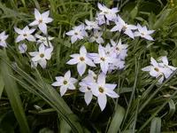 DSCN0238.webp