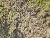 20170430_172019.webp