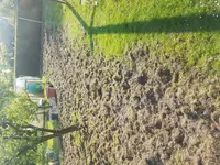 20170430_172021.webp