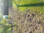 20170430_172021.jpg