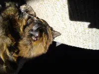 IMGP4868.webp