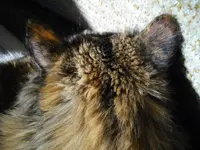 IMGP4873.webp