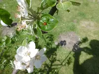 P1000743.webp